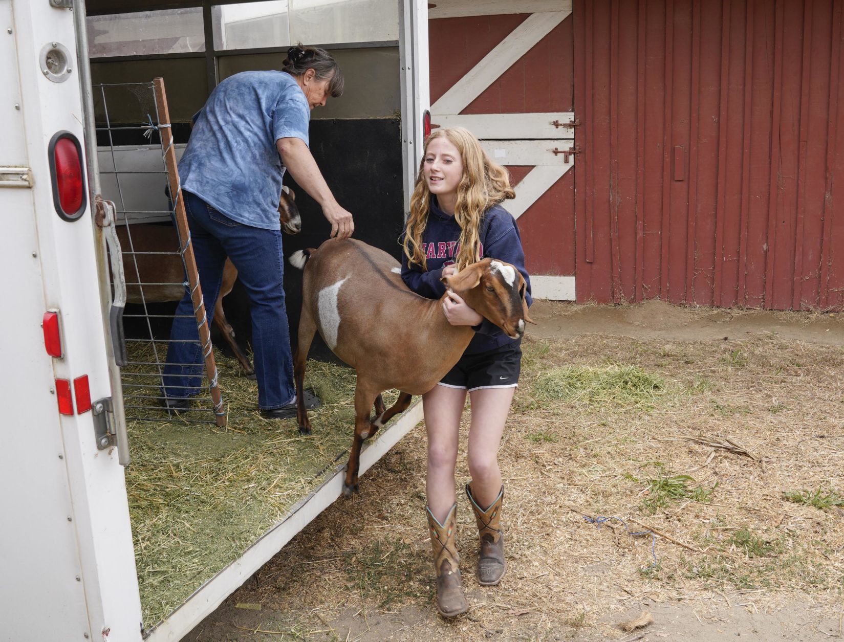 070719 Animals Arrive for Fair 03.jpg